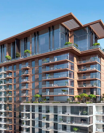 Castleton Central Park