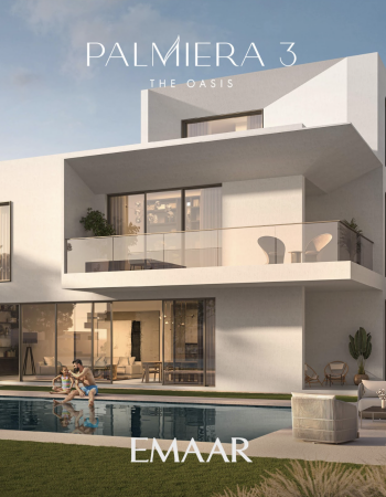 Palmera 3