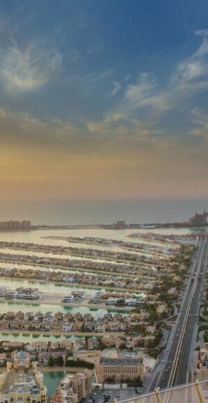 The Palm Tower image