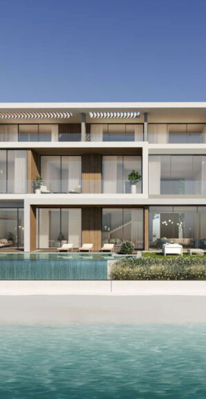 The Palm Crown image