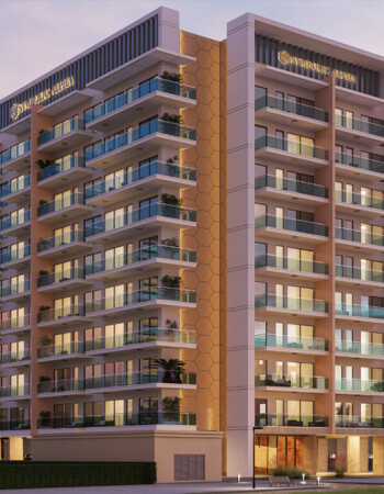 Symbolic Development