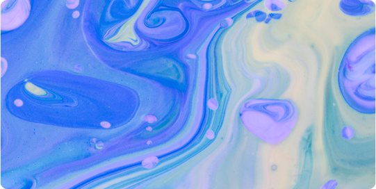 Property Rental and Management